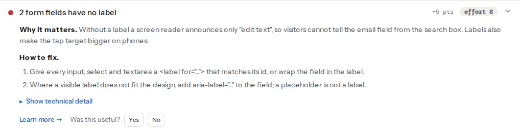 The form labels finding opened: the title counts the fields without a label, and the technical detail lists the axe rule with the number of affected elements and the CSS selector of each field