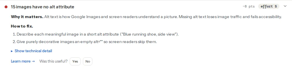 The images-without-alt-text finding opened on the example shop: the number of images with no alt attribute out of the total, why it matters, the fix, and the list of image files it applies to