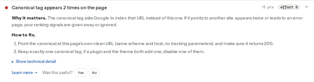The canonical finding opened for a URL that carries a test parameter: the declared canonical is the clean URL without the parameter, it resolves with a 200 status, and the why and fix text sit below it