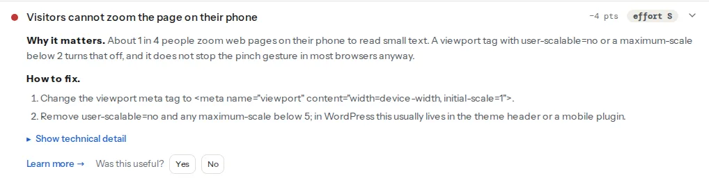 The zoom finding opened: the title says visitors cannot zoom, the evidence line shows the viewport content with user-scalable=no and maximum-scale=1, followed by the one-line fix